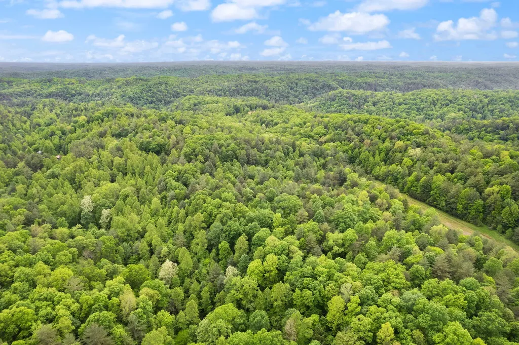 2 Firefly Lane Campton KY 41301
