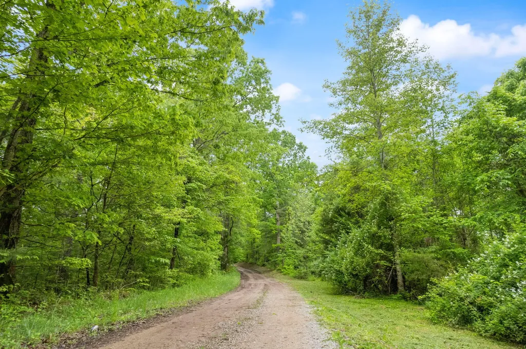 6 Firefly Lane Campton KY 41301