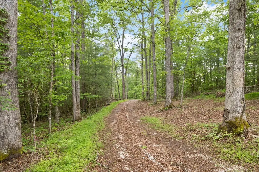3 Firefly Lane Campton KY 41301