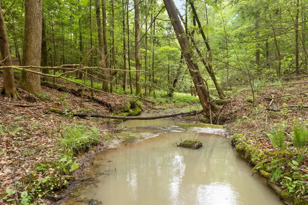 16 Clay-alexander Road Campton KY 41301