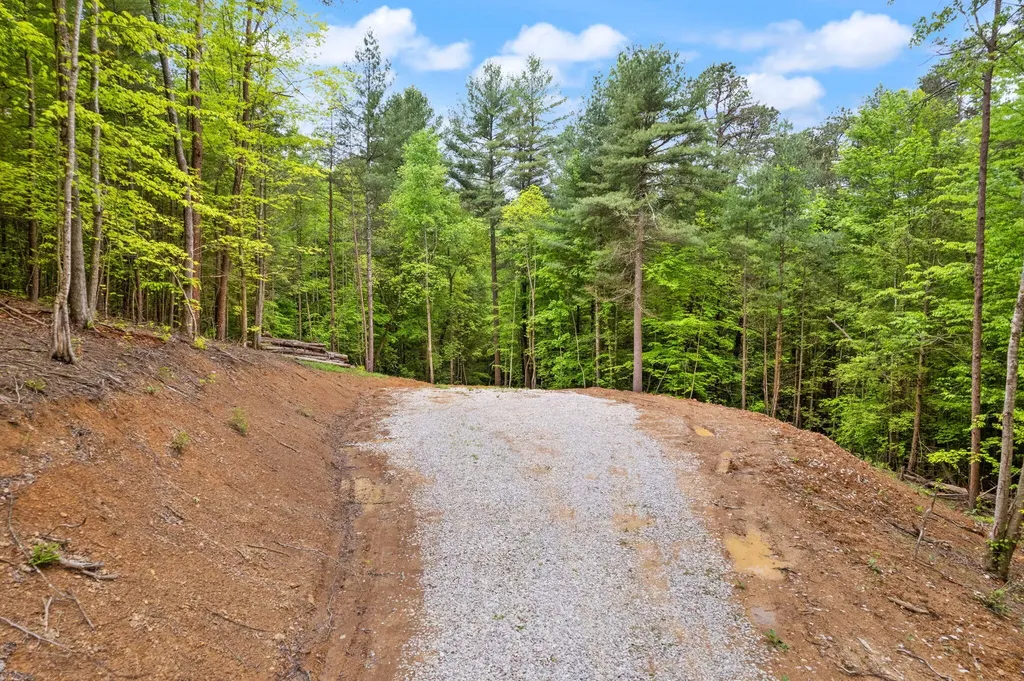 15 Clay-alexander Road Campton KY 41301