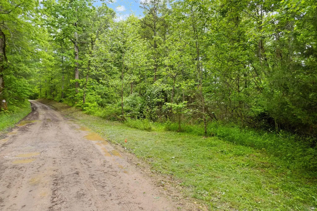1 Clay-alexander Road Campton KY 41301