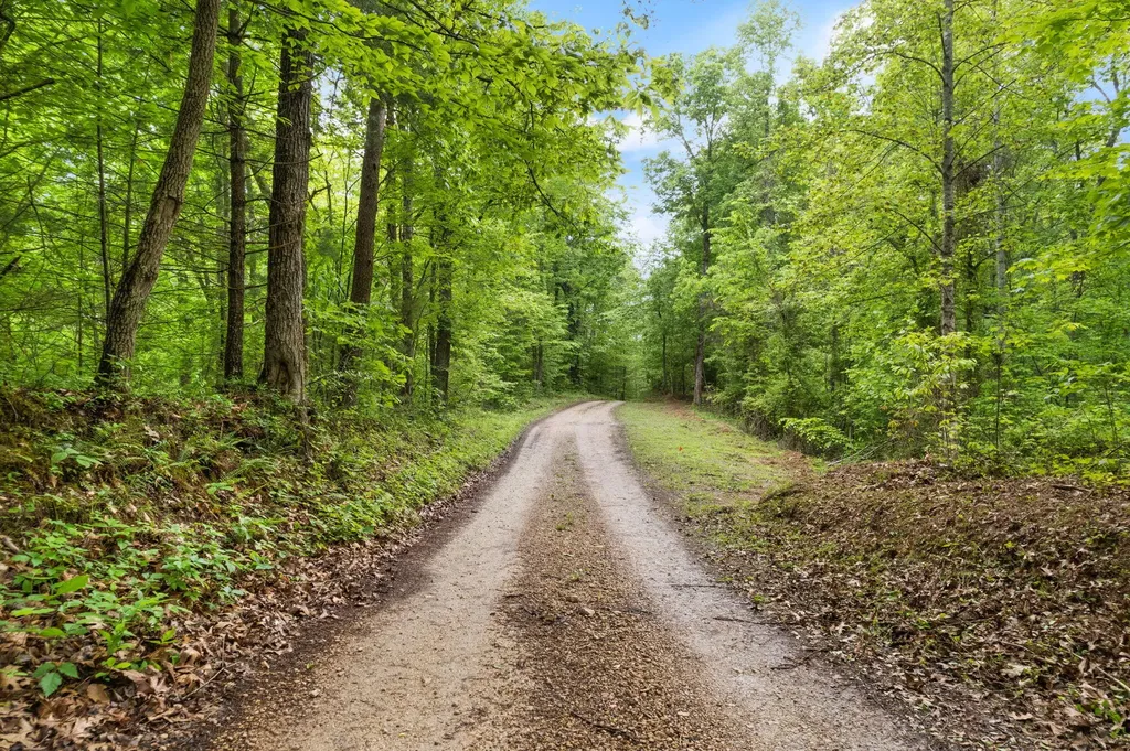 1 Clay-alexander Road Campton KY 41301