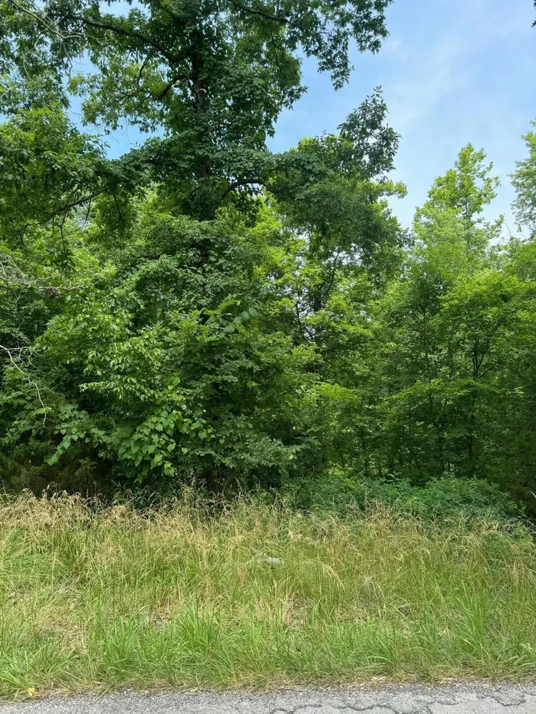 256 Lafayette Circle Irvine KY 40336