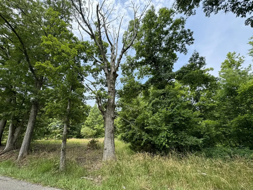 2248 Opossum Run Road Irvine KY 40336