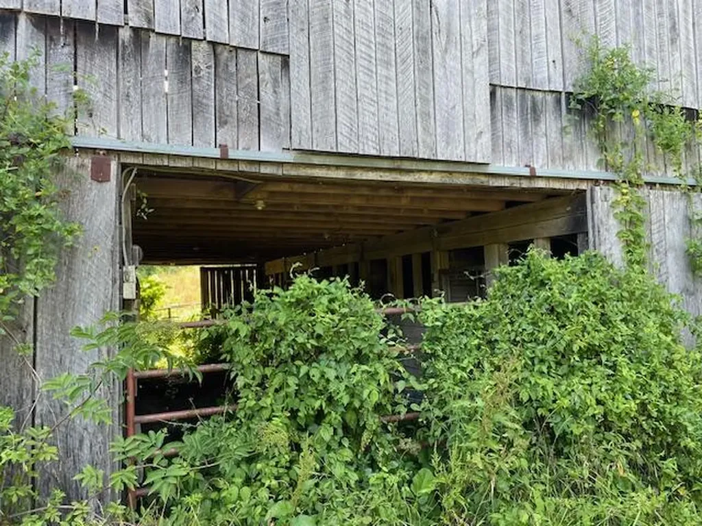 1208 Highway 217 Highway Middlesboro KY 40965