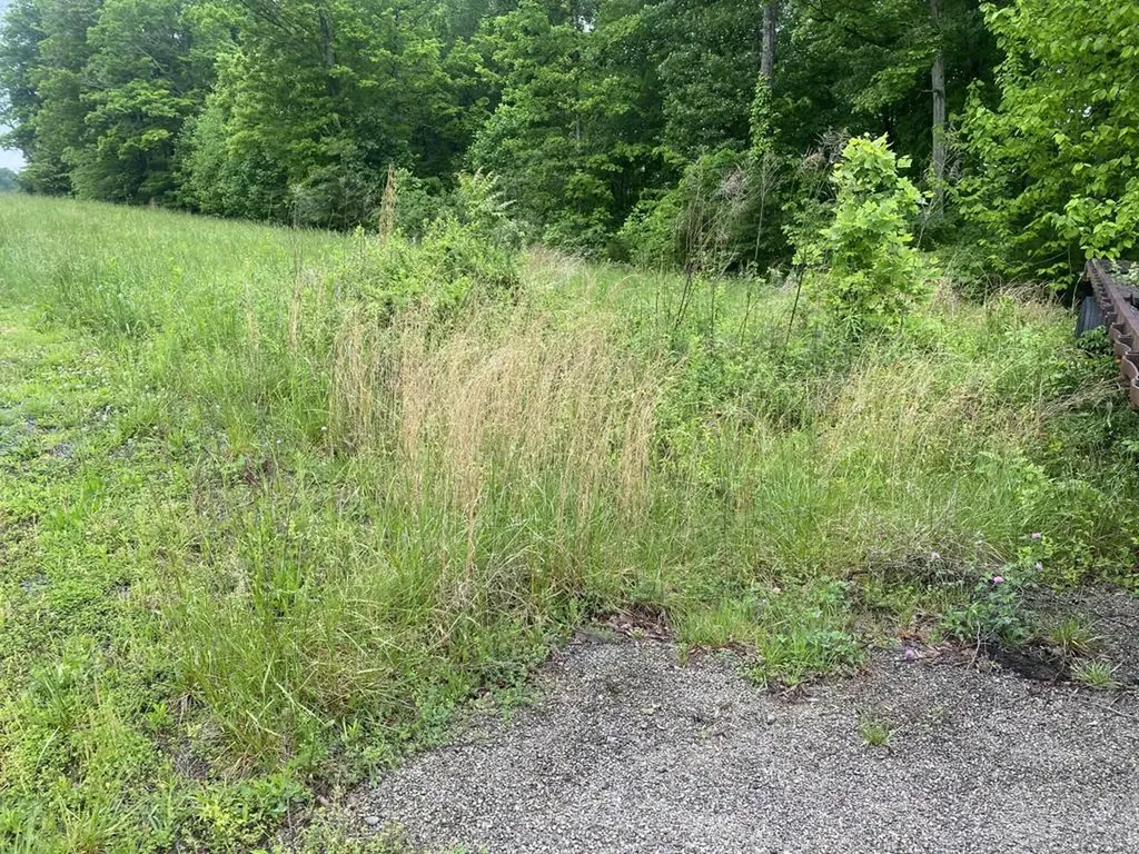 81-107 N Gracie Lane Russell Springs KY 42642