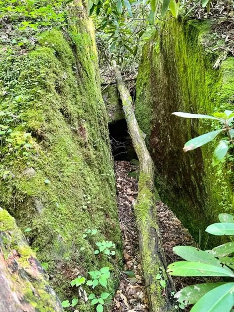 0 Coperas Cave Branch Beattyville KY 41311