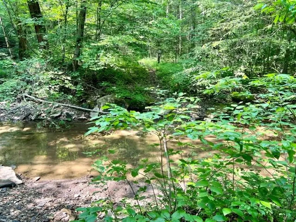 0 Coperas Cave Branch Beattyville KY 41311