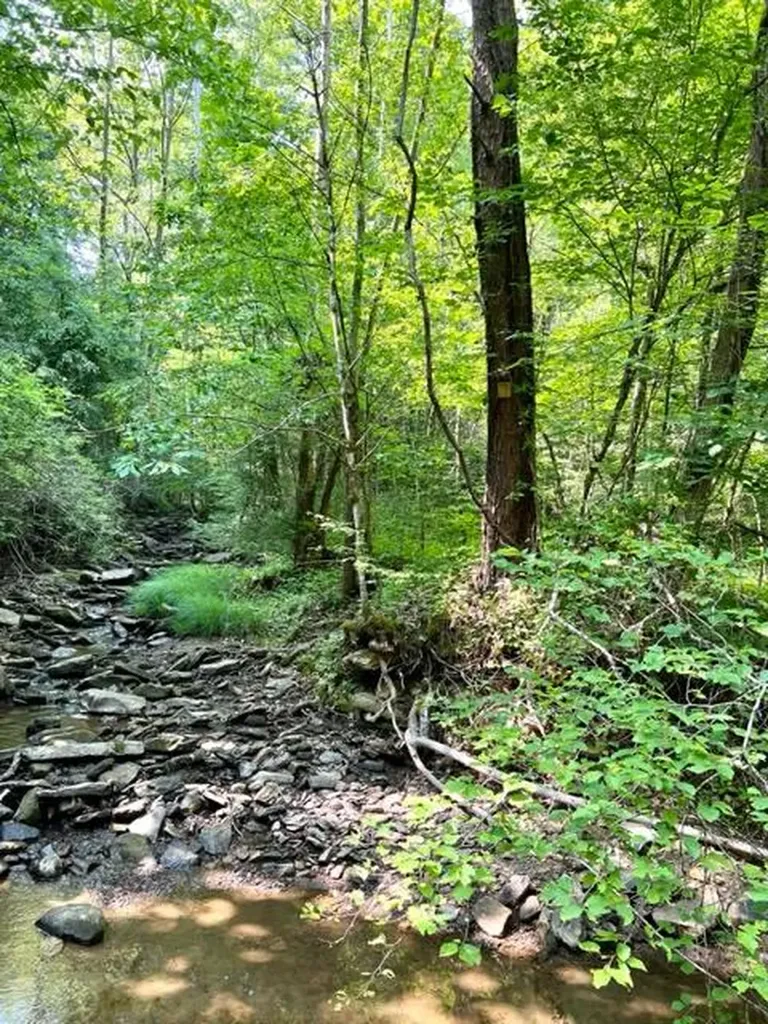 0 Coperas Cave Branch Beattyville KY 41311
