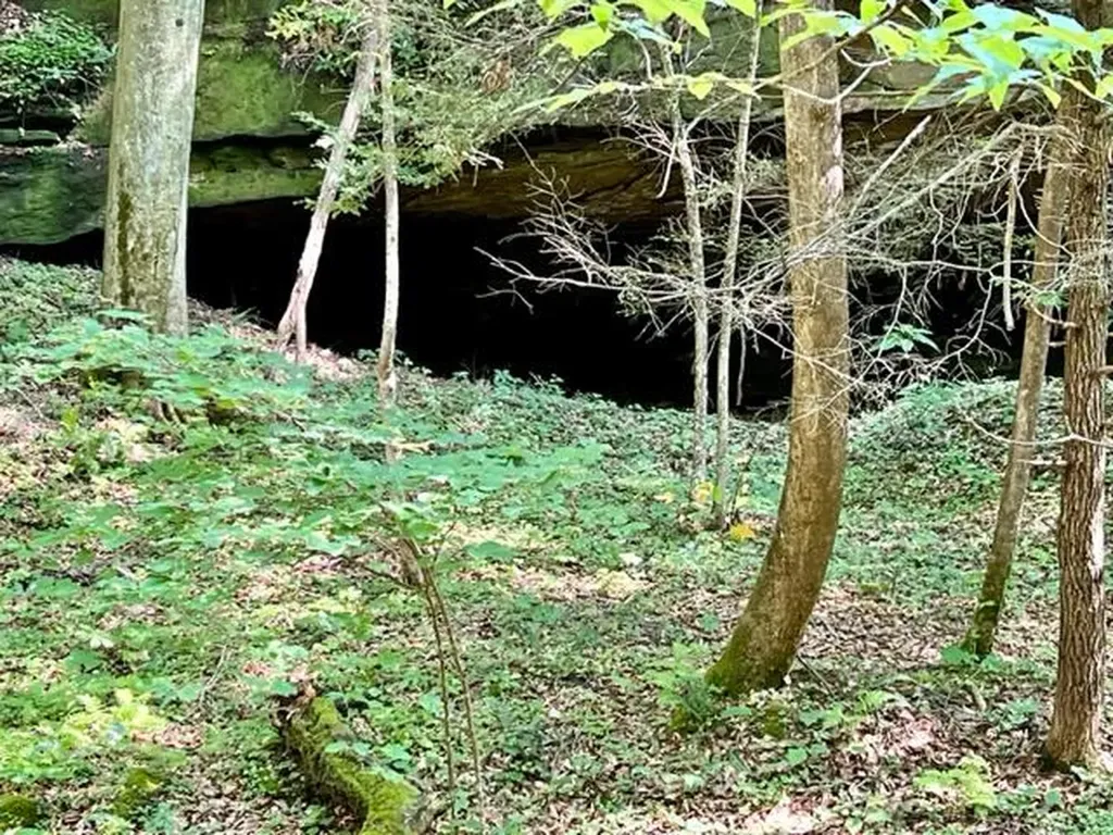 0 Coperas Cave Branch Beattyville KY 41311
