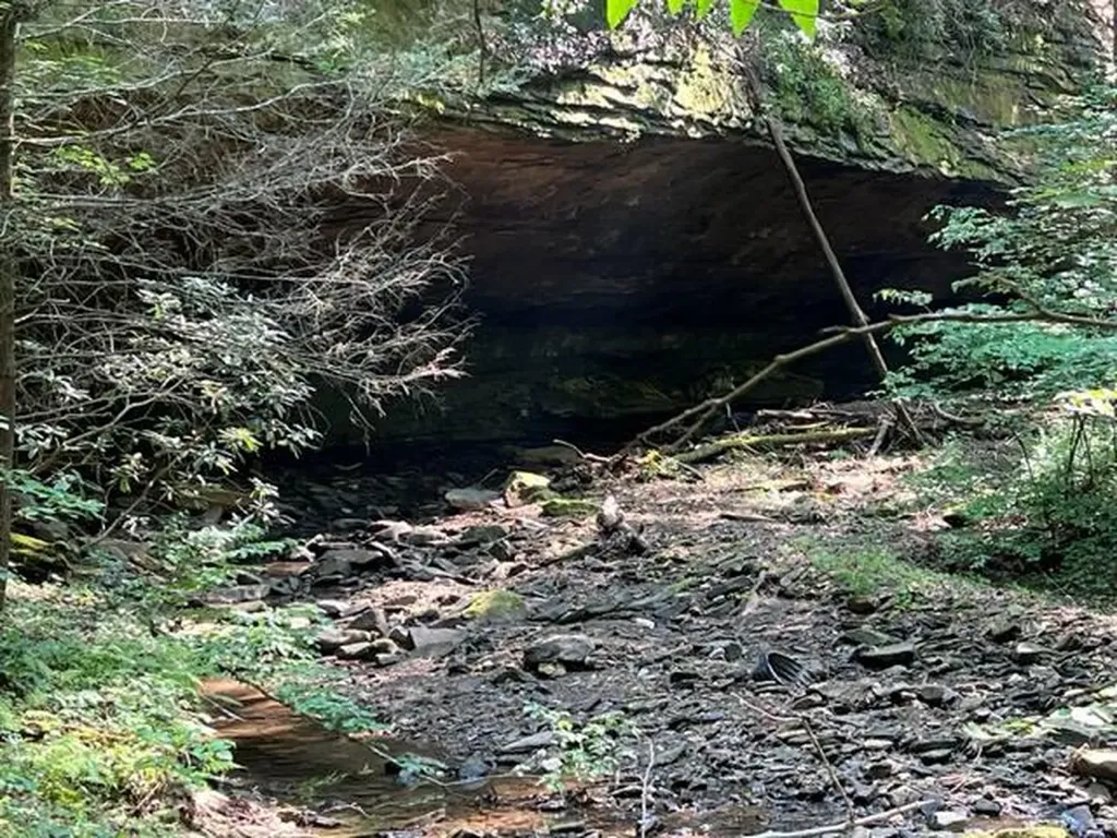 0 Coperas Cave Branch Beattyville KY 41311