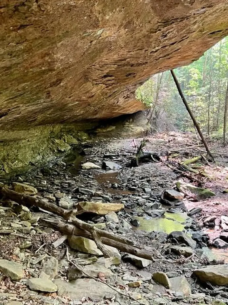 0 Coperas Cave Branch Beattyville KY 41311
