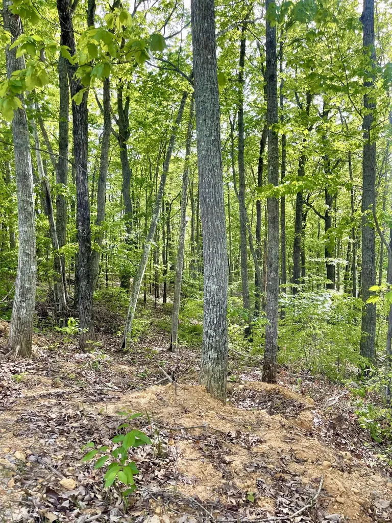 Lot 133 Sandstone Trail Monticello KY 42633