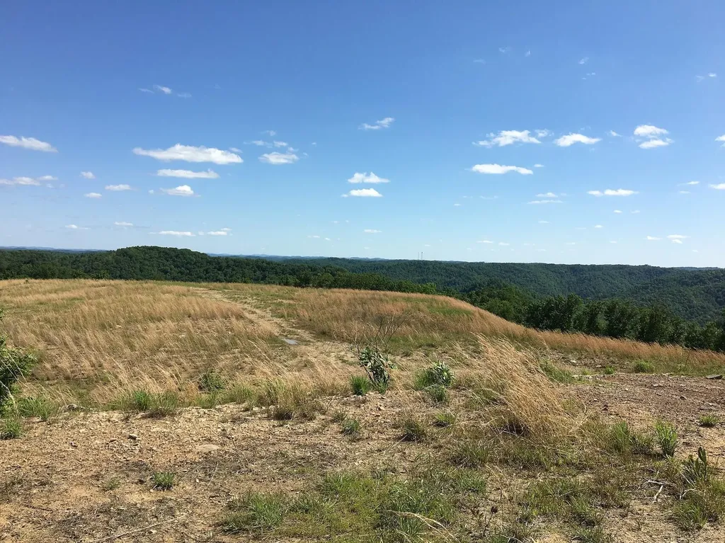 3980 Key 66 Oneida KY 40972