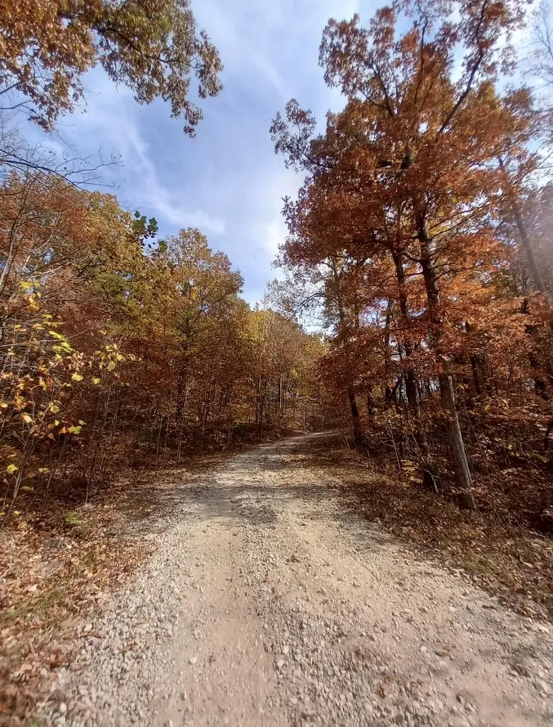 1237E High Rock Road Stanton KY 40380