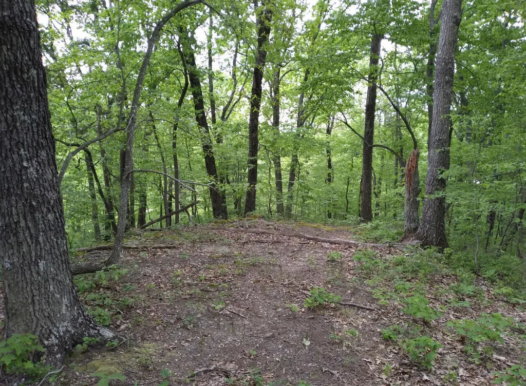 1237F High Rock Road Stanton KY 40380