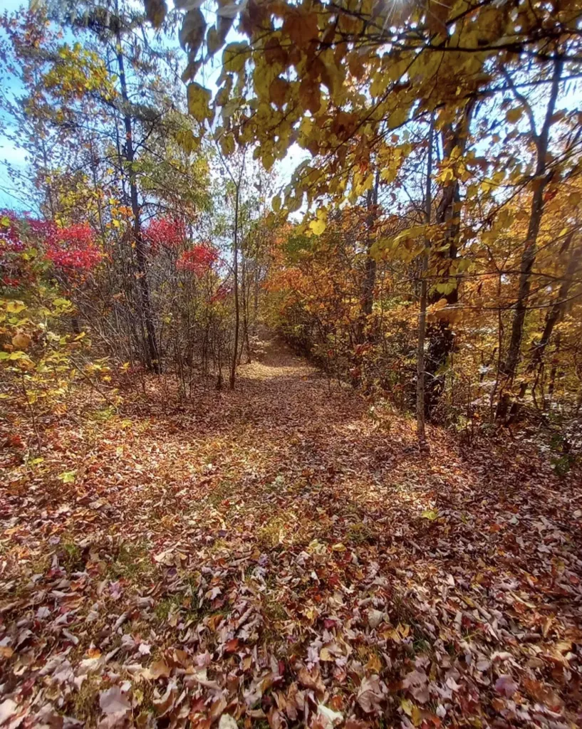 1237F High Rock Road Stanton KY 40380