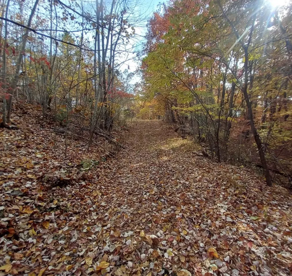 1237G High Rock Road Stanton KY 40380