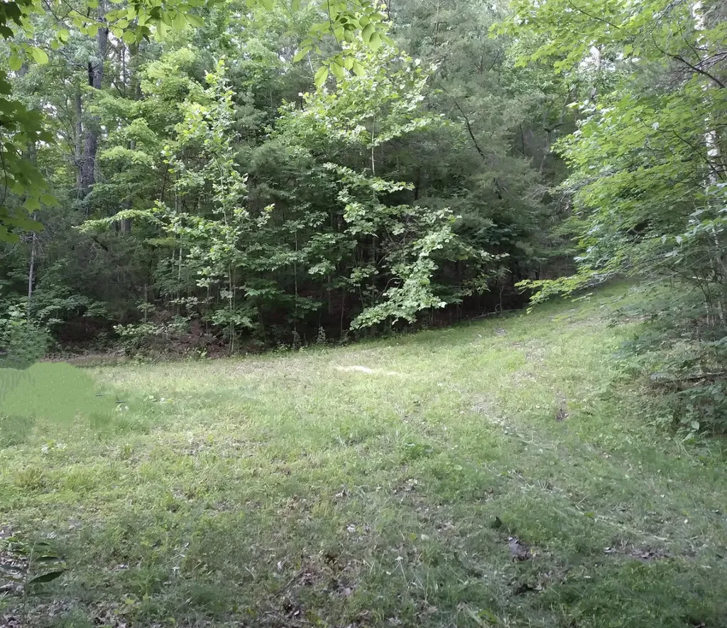 1237G High Rock Road Stanton KY 40380