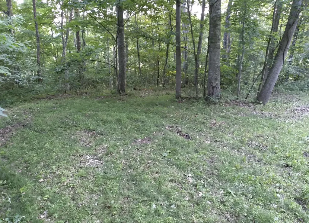 1237G High Rock Road Stanton KY 40380