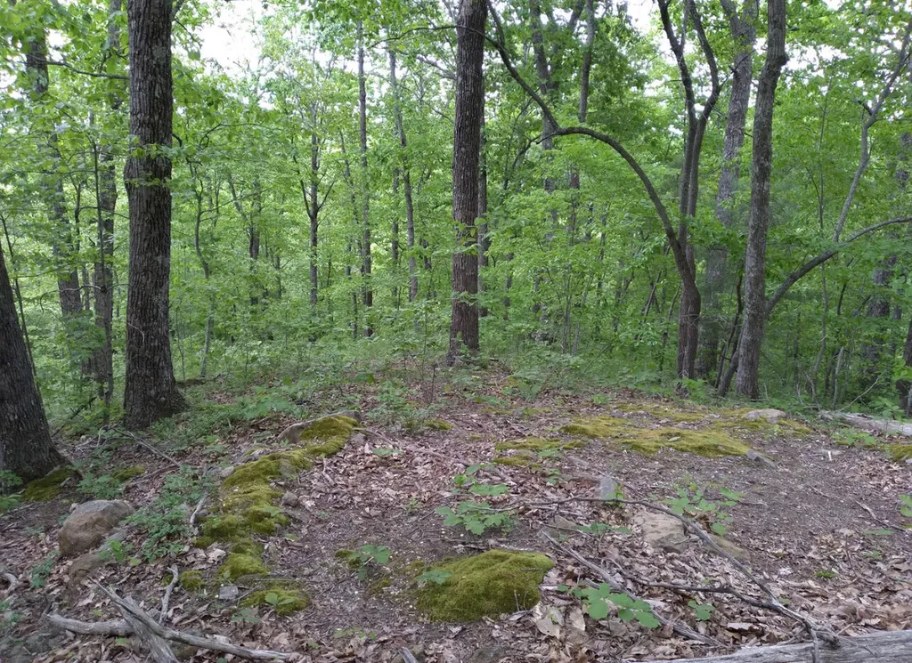 1237J High Rock Road Stanton KY 40380