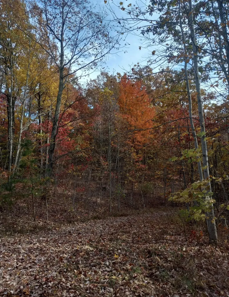 1237J High Rock Road Stanton KY 40380