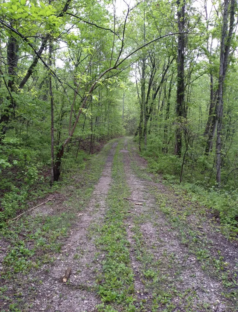 1237H High Rock Road Stanton KY 40380