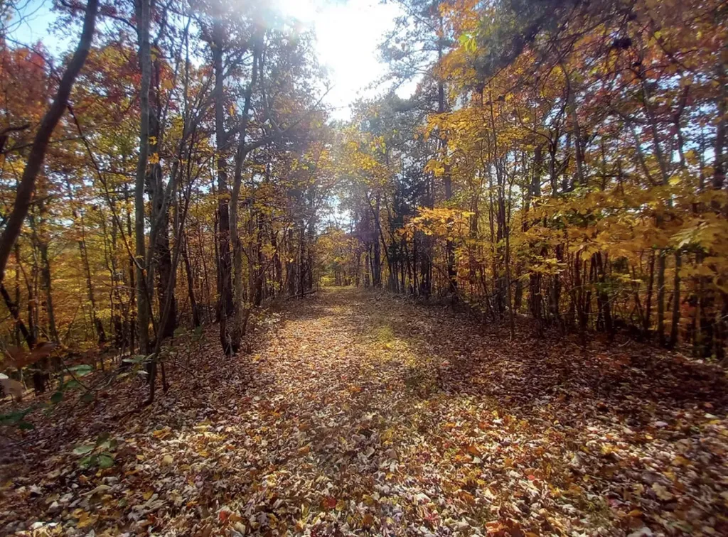 1237H High Rock Road Stanton KY 40380