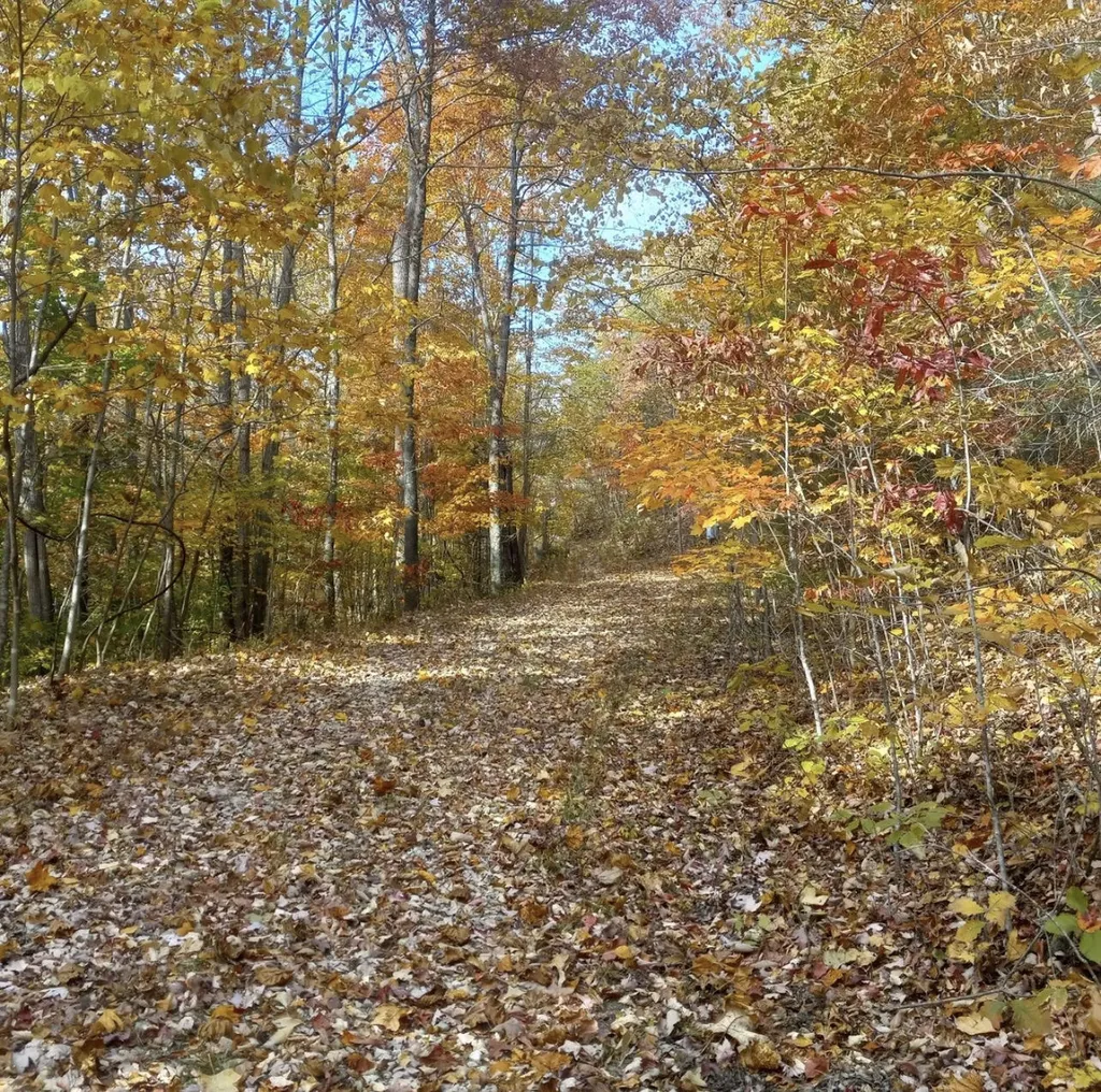 1237I High Rock Road Stanton KY 40380