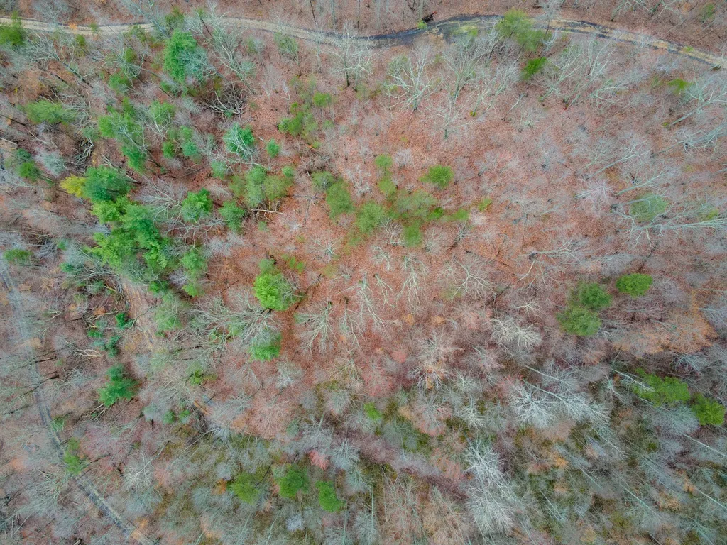 1237M High Rock Road Stanton KY 40380