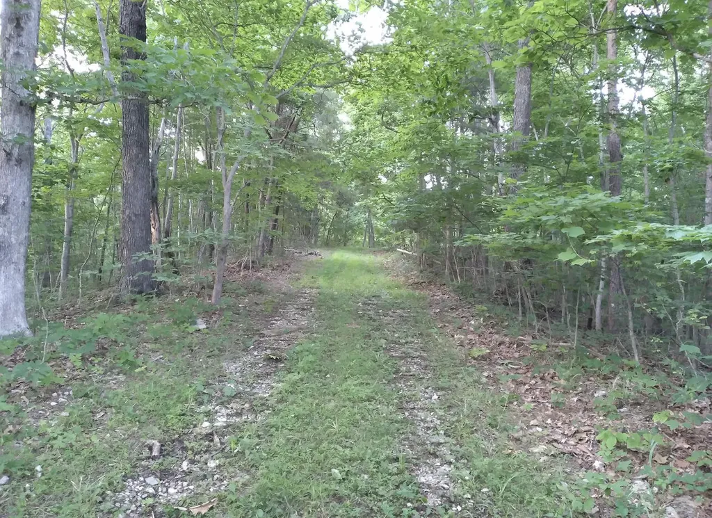 1237M High Rock Road Stanton KY 40380