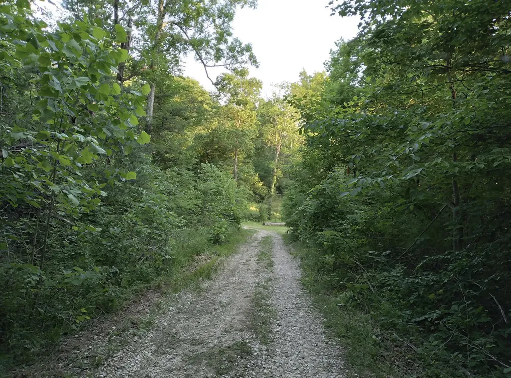 1237M High Rock Road Stanton KY 40380