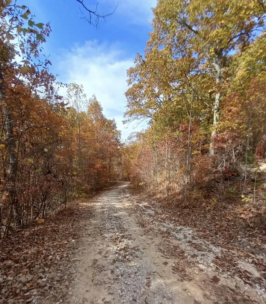 1237M High Rock Road Stanton KY 40380