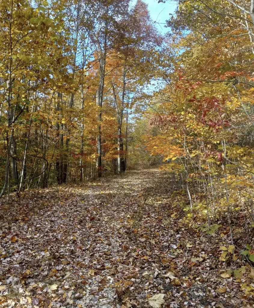 1237K High Rock Road Stanton KY 40380