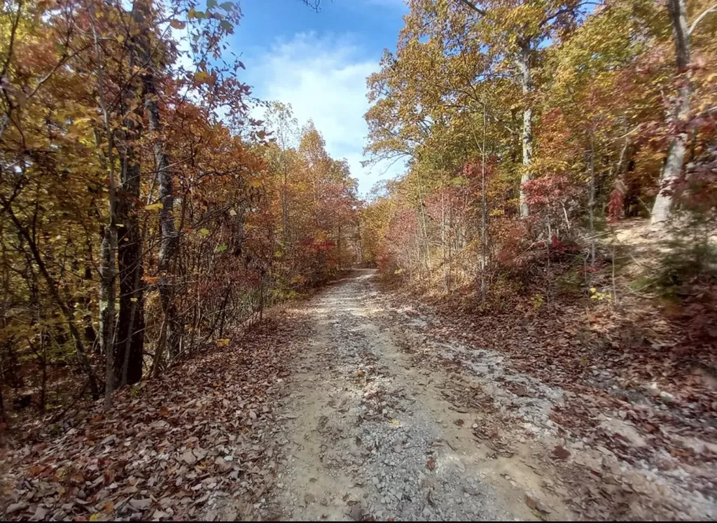1237L High Rock Road Stanton KY 40380