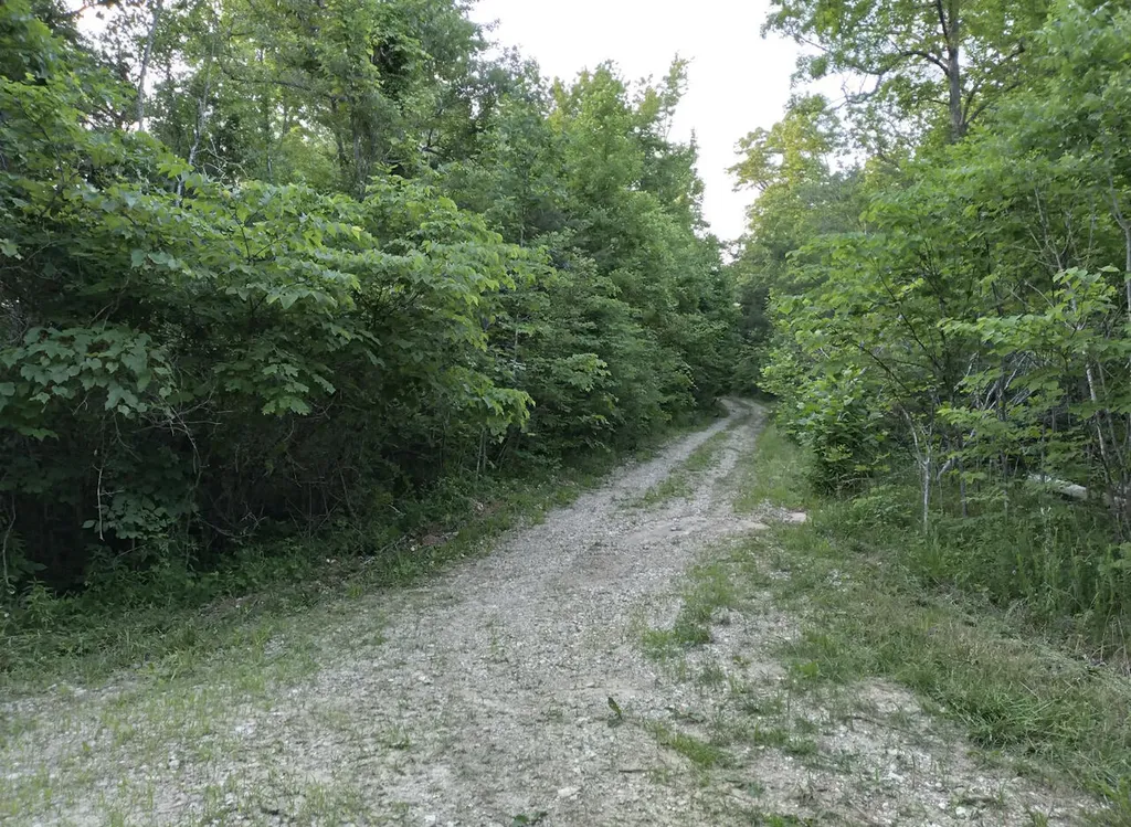 1237N High Rock Road Stanton KY 40380