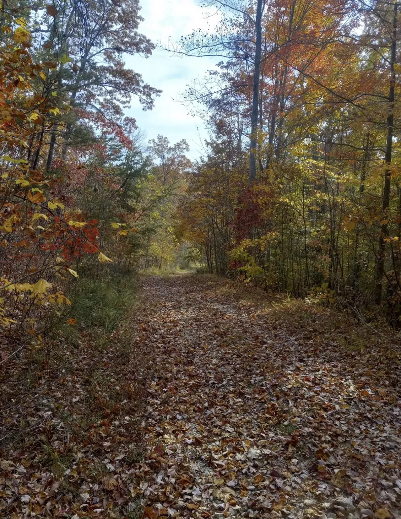 1237N High Rock Road Stanton KY 40380