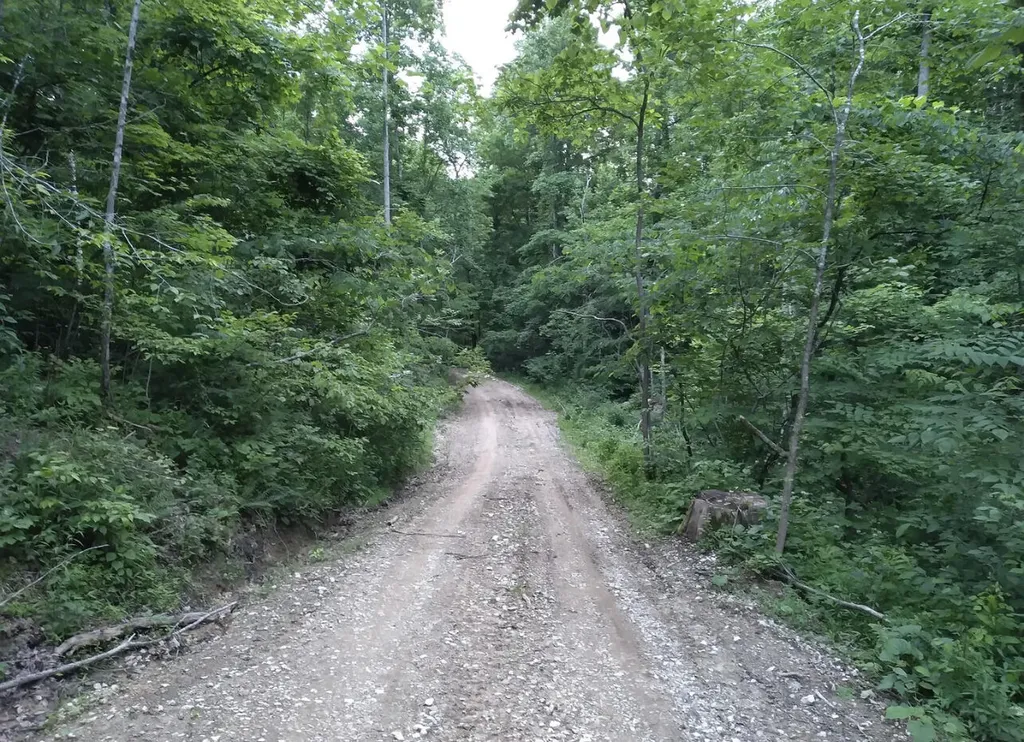 1237O High Rock Road Stanton KY 40380