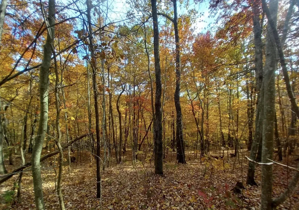 1237O High Rock Road Stanton KY 40380