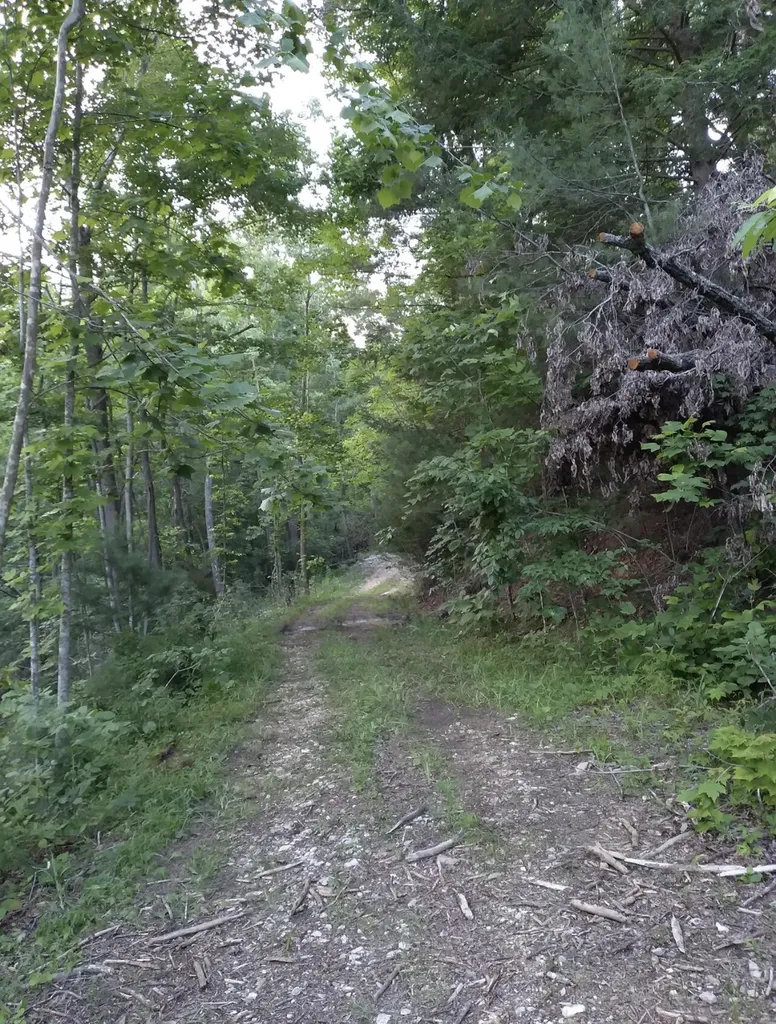 1737C High Rock Road Stanton KY 40380
