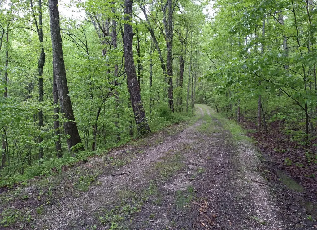 1737C High Rock Road Stanton KY 40380