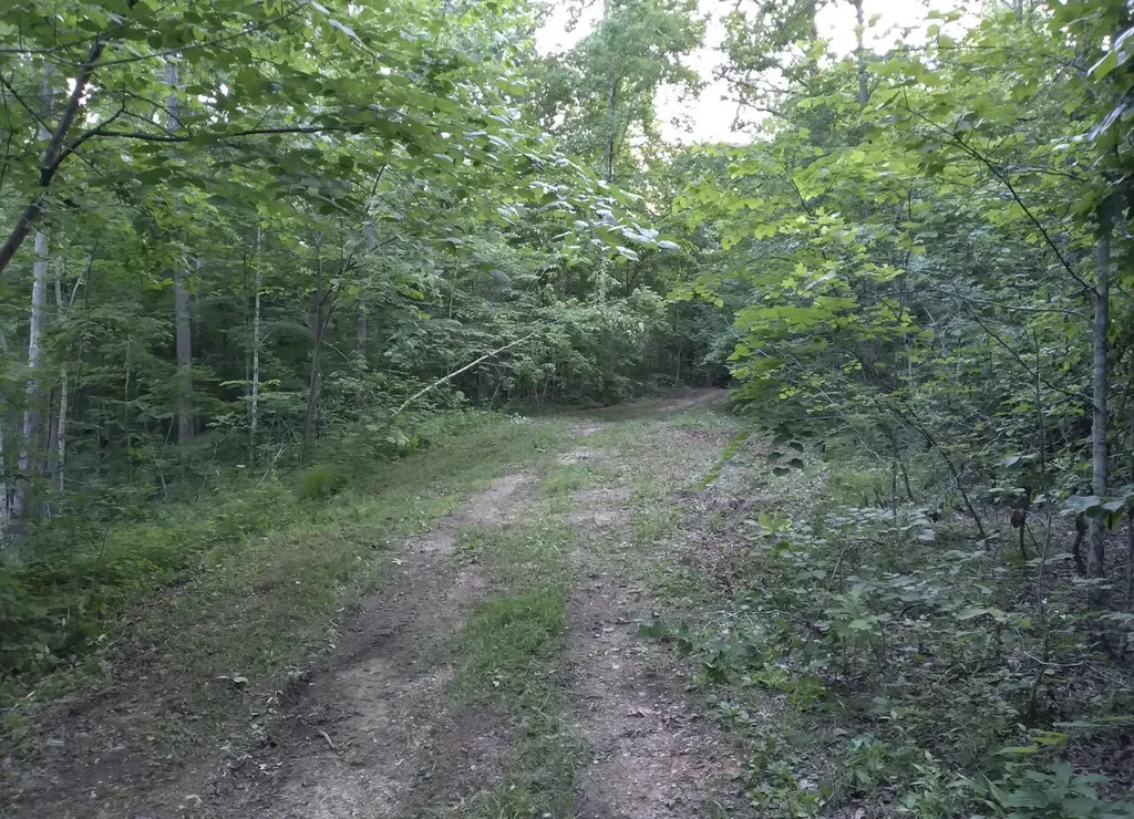 1737C High Rock Road Stanton KY 40380