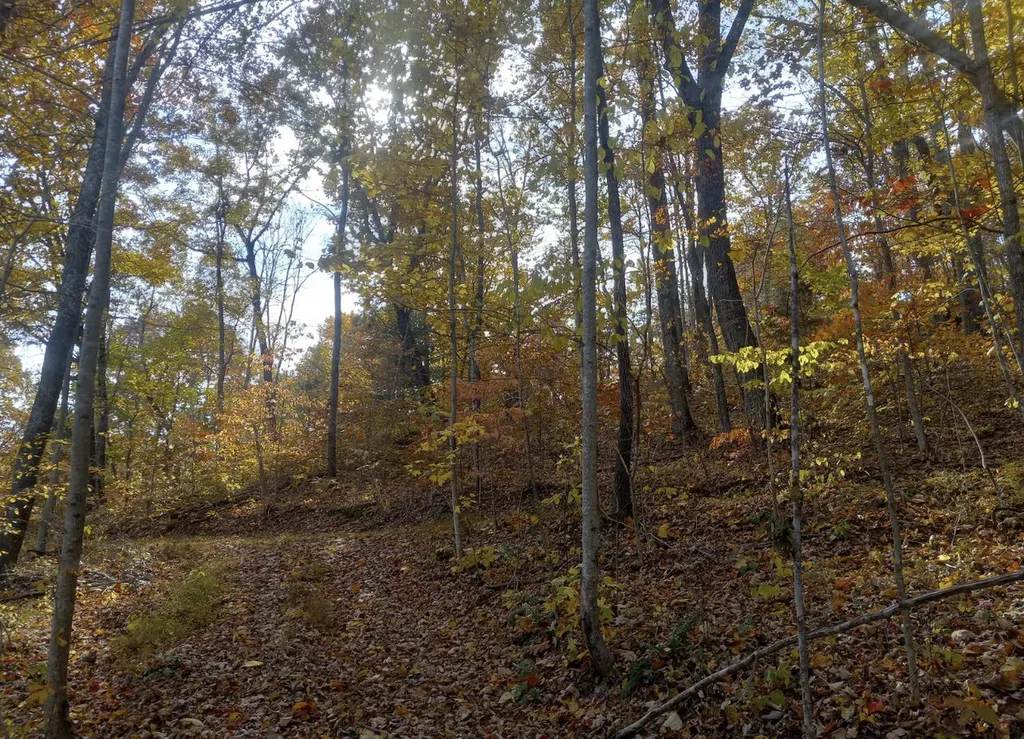 1737C High Rock Road Stanton KY 40380