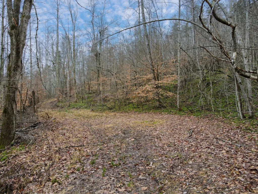 1737B High Rock Road Stanton KY 40380