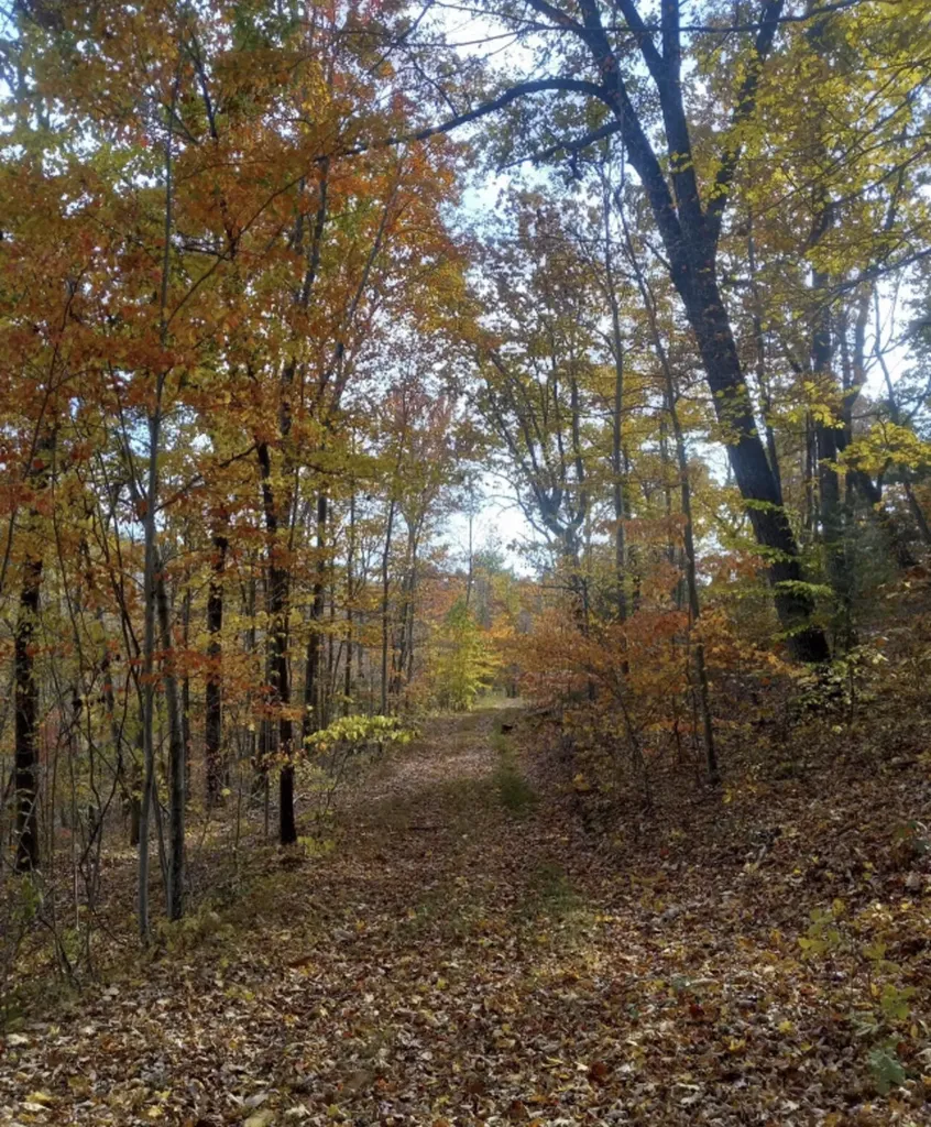 1737B High Rock Road Stanton KY 40380