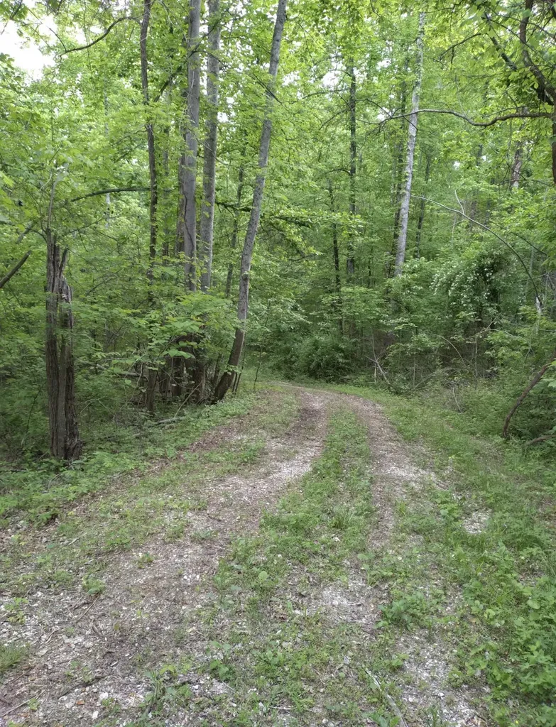 1737B High Rock Road Stanton KY 40380