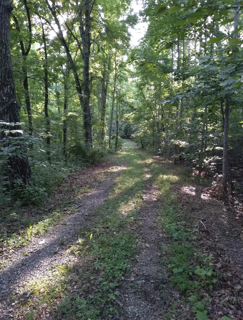 1737B High Rock Road Stanton KY 40380