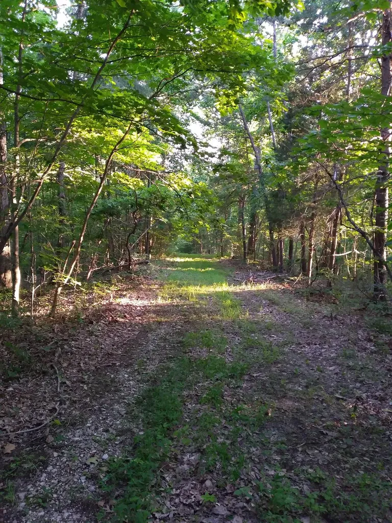 1637 High Rock Road Stanton KY 40380