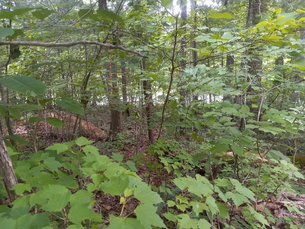 1637 High Rock Road Stanton KY 40380